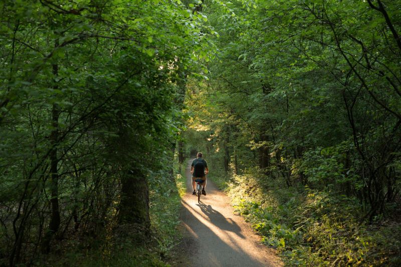 Lees meer over het artikel Wandelen en fietsen in Drenthe
